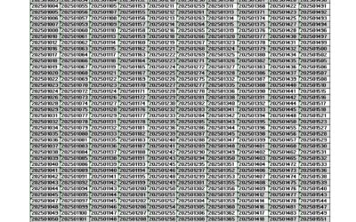 Pengumuman Jadwal Wawancara Jalur Prestasi PPDB T.A 2025 – 2026