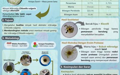 Inovasi Minyak Goreng Berbasis Mikroalga (Chlorella vulgaris)
