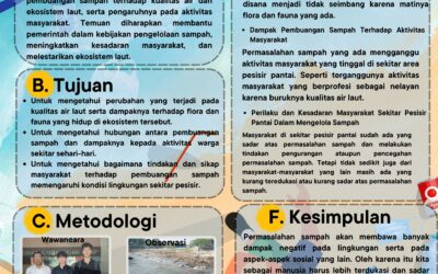 Dampak Pembuangan Sampah di Pesisir Pantai terhadap Lingkungan Sekitar
